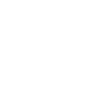 Company Law